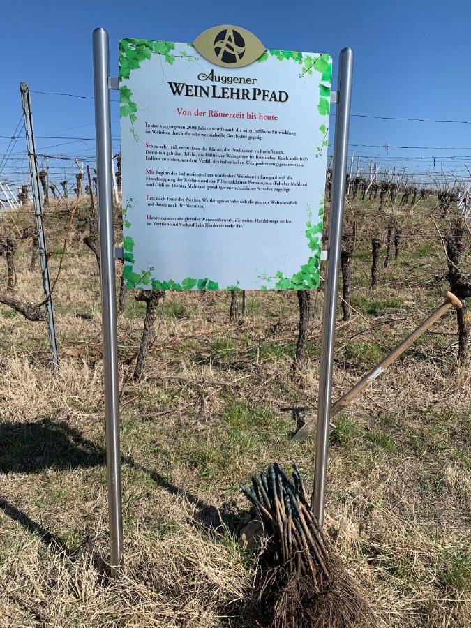 Ruedlins-Winzerhof Lejlighed Auggen Eksteriør billede